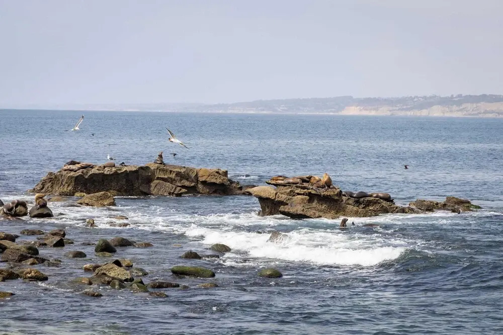 La Jolla Living by Avantstay A+ Location Private Backyard Lounge