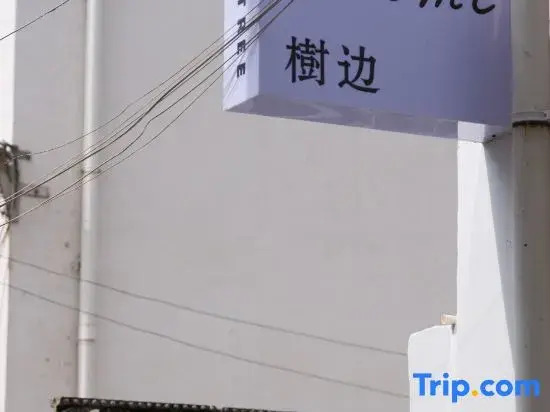 Wuyuan Treeside Camphor House