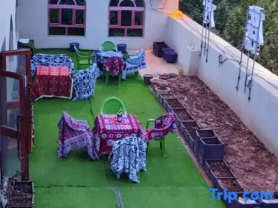 Kashgar  Adenium obesum B&B