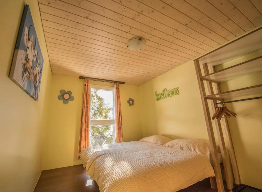Schutzenbach Backpackers For Adults 18-32 years only