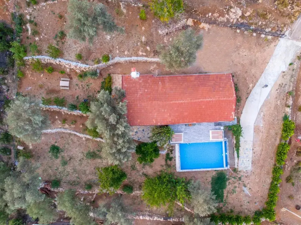 Villa Rose Garden Fethiye