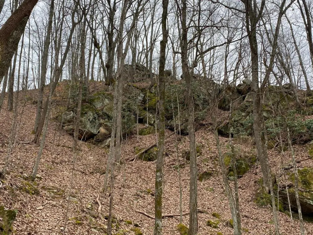 Pine Mountain Inn