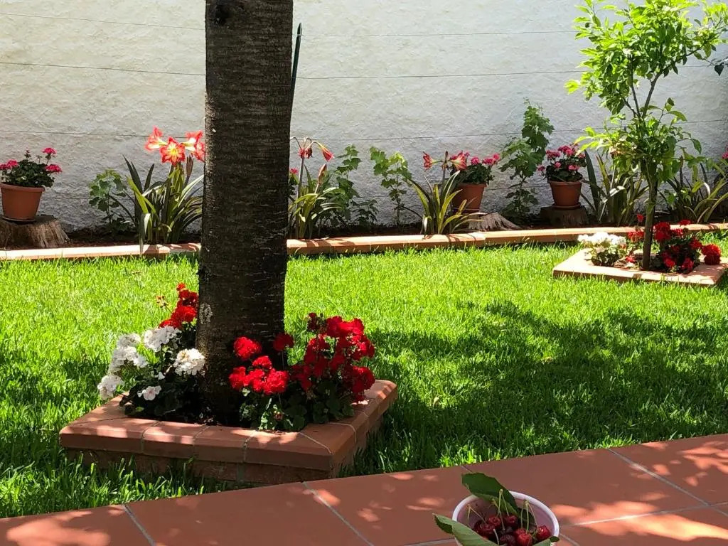 La Casa delle Ortensie Guest House