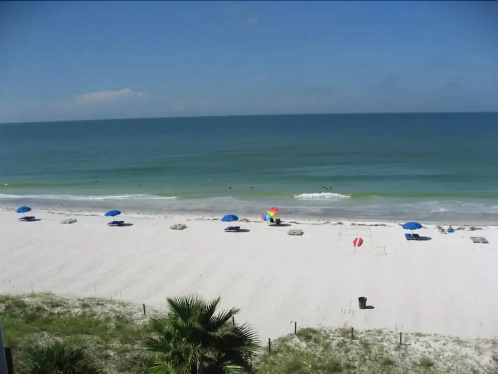 Beach Palms 409