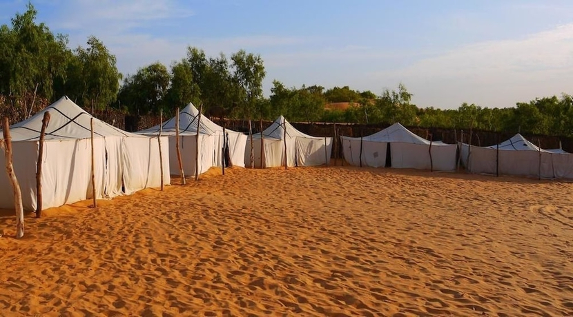 Oasis Du Désert