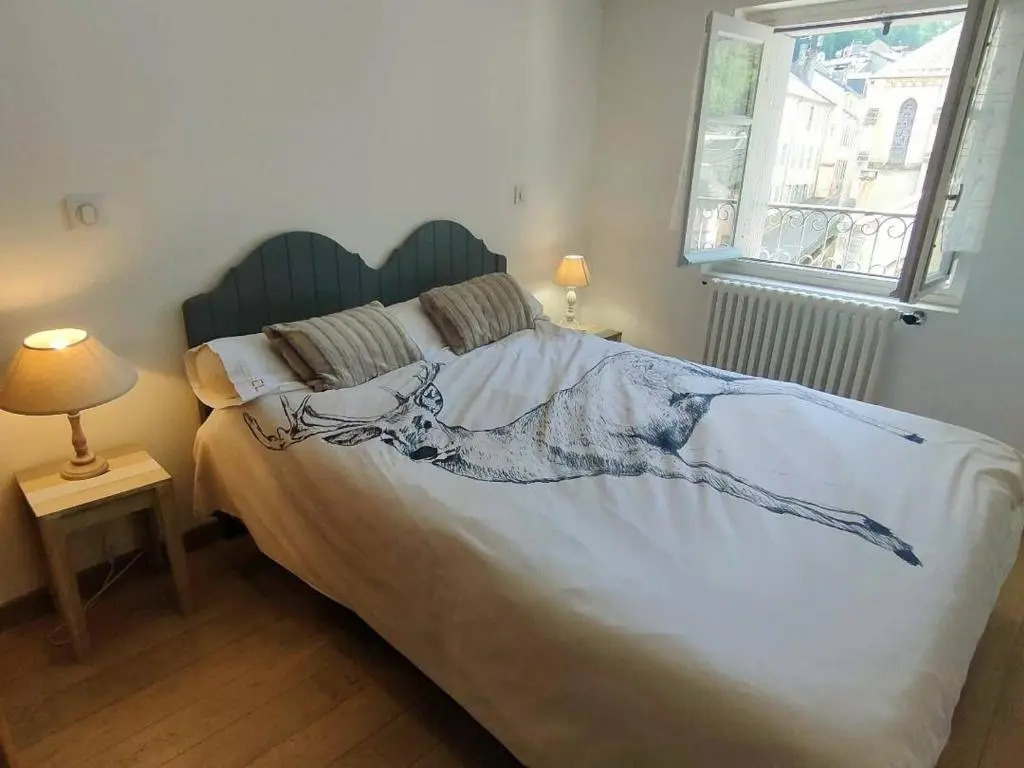 Appartement Cauterets, 3 pièces, 4 personnes - FR-1-234-144