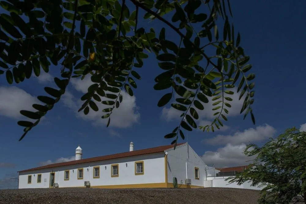 Monte Vale Organic Farm