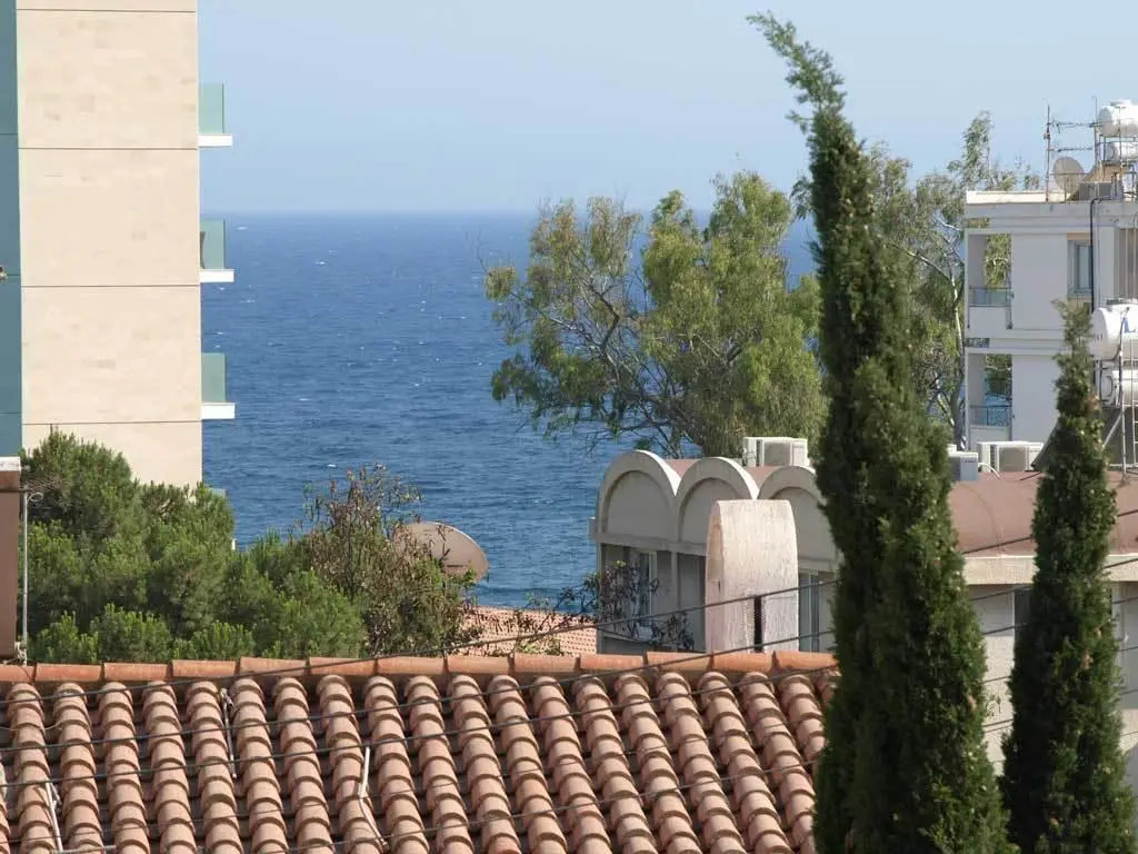 Patatas Villa