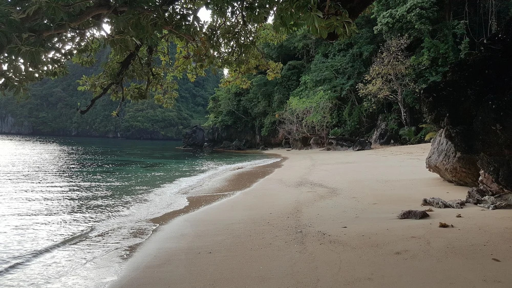 The Alternative Beach Cottages