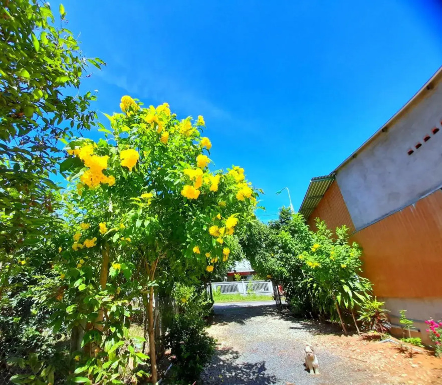 Cat Tien Backpackers Hostel