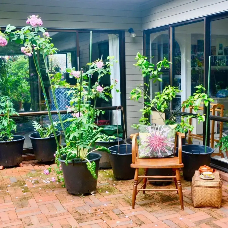 Art BnB Devonport