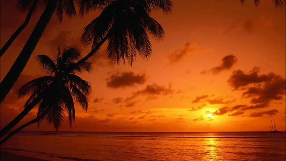 All Inclusive Bed & Beach & Fun Cancun