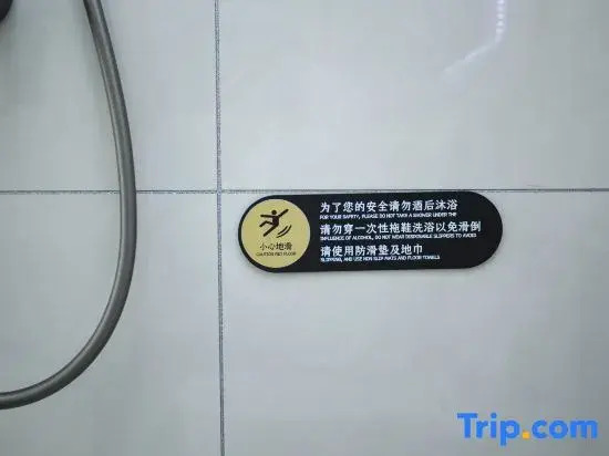 Yixuan Light Luxury Homestay (Wang Family Courtyard)