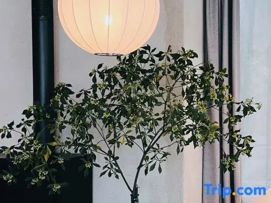 Wudangshan Fudi Ju 33 High Mountain Boutique Stay