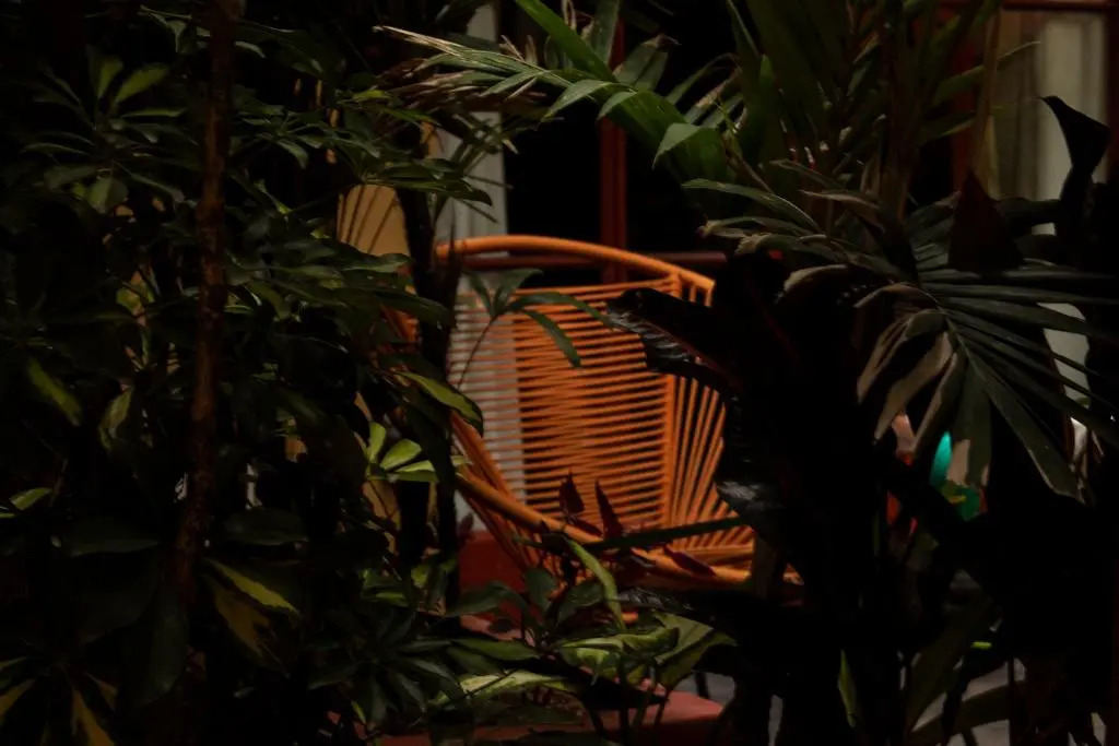 The Red Tree House