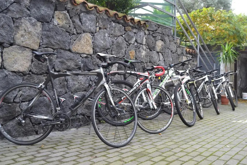 Etna Bike Holiday