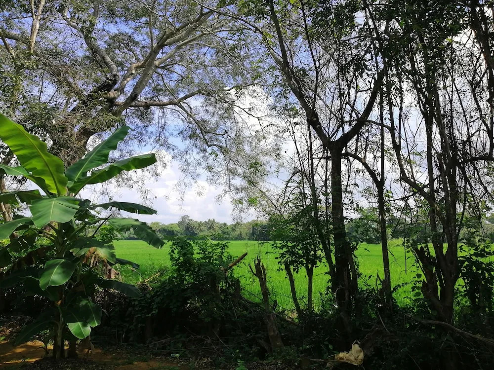 Ama Villa Homestay