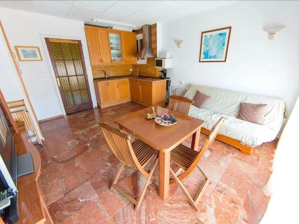 Palmeras 5.2