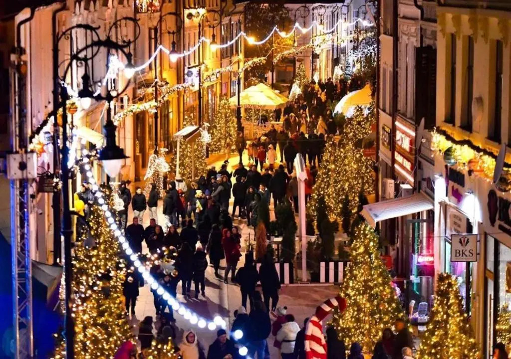 Apartament Boem în Inima Oraşului Craiova