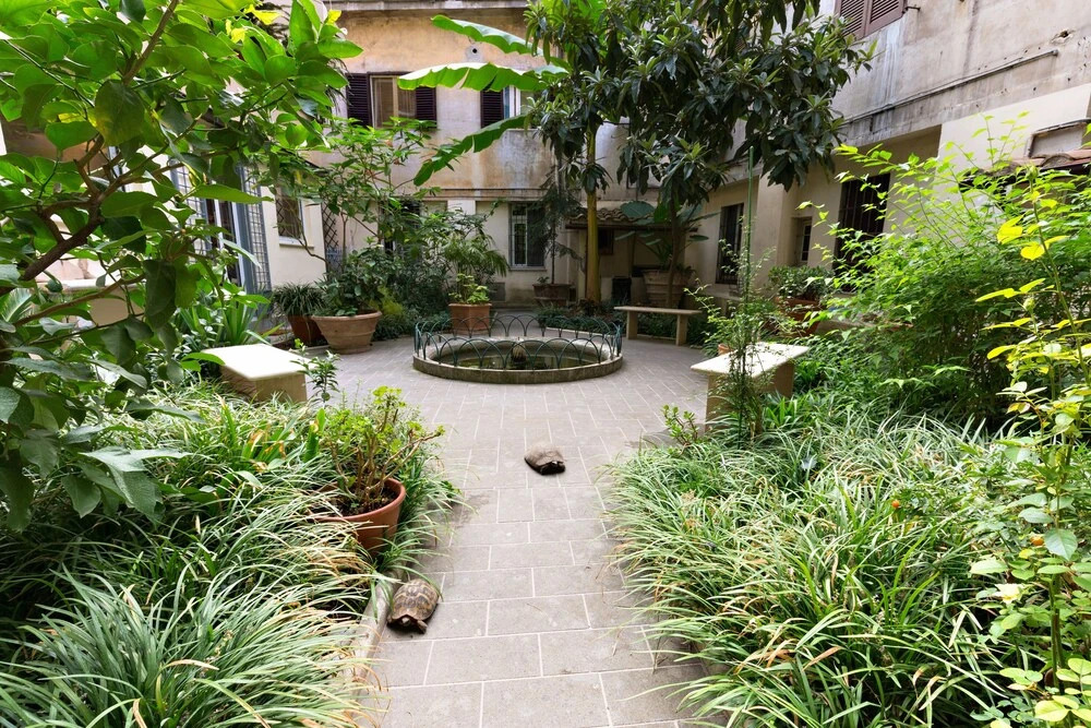 Rome As You Feel - Loft Garden at Colosseum