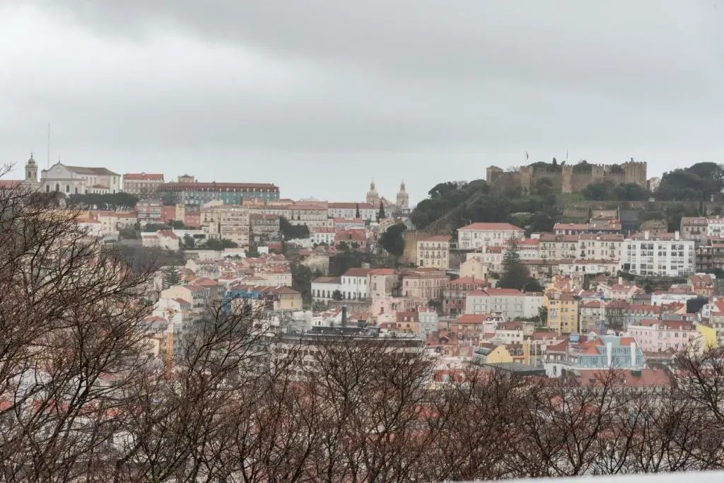 Bairro Alto Garden IV by Homing