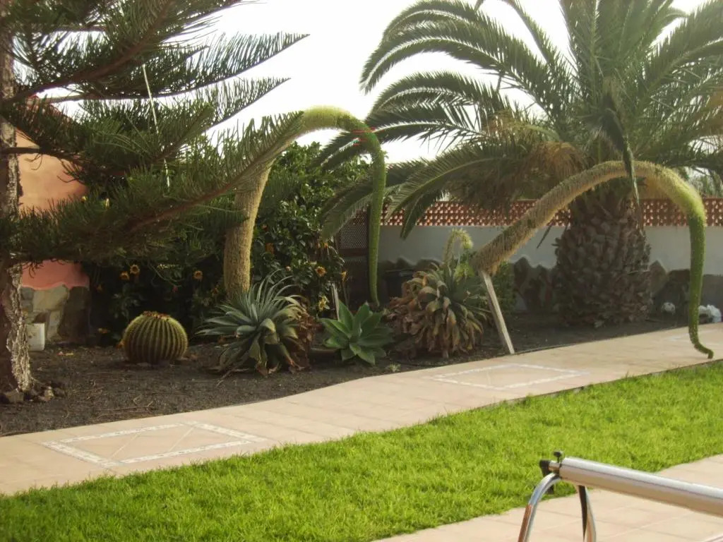 Casa Mami