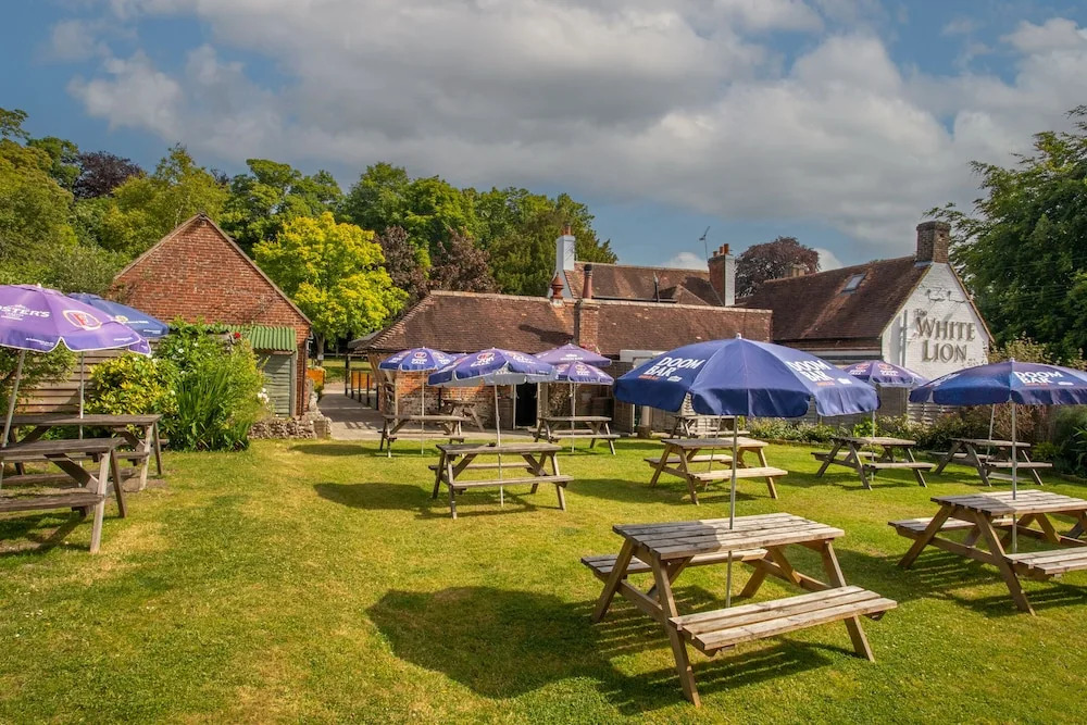 The White Lion, Soberton