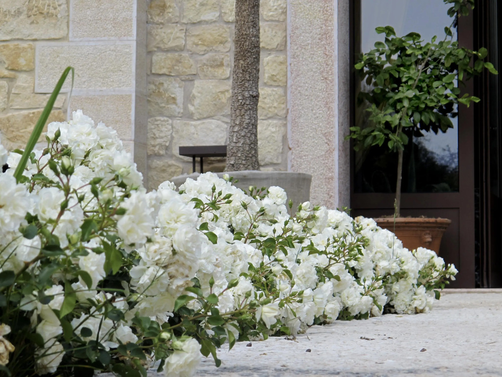 Delser Verona Manor House