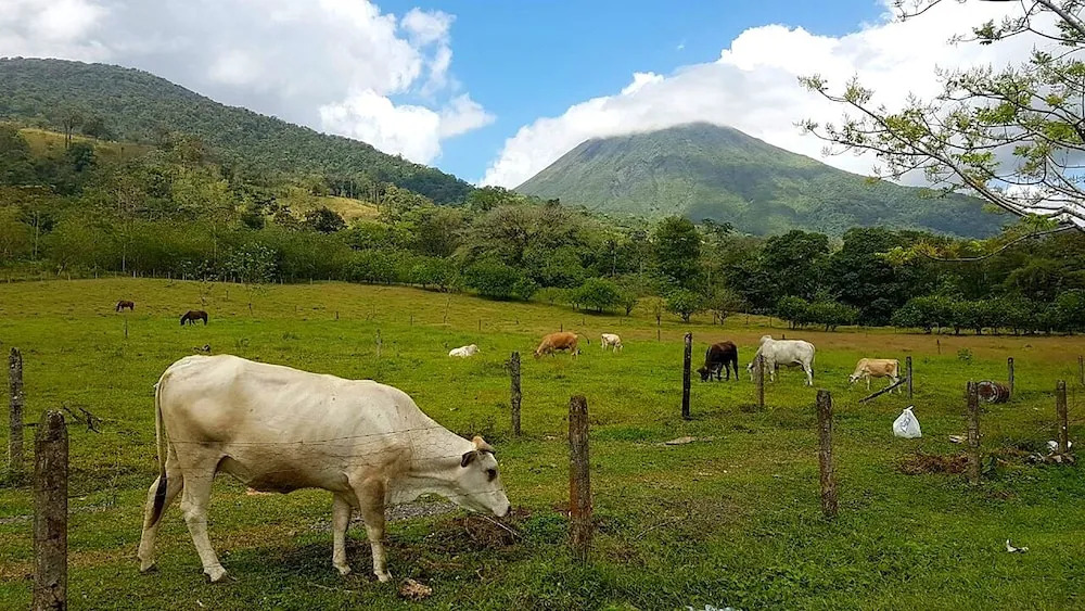 Tío Felix Eco Lodge