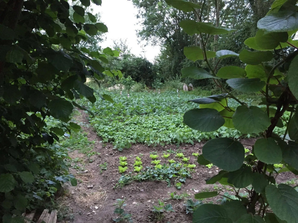 LOrée de Giverny