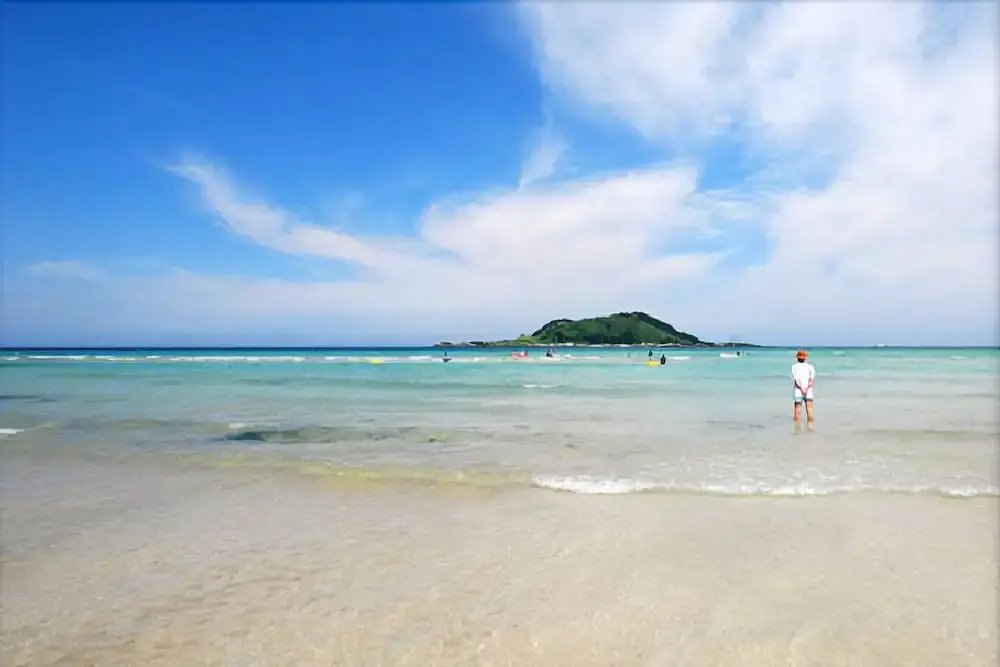 Jeju Hyeoppjae Some&ssam Guesthouse