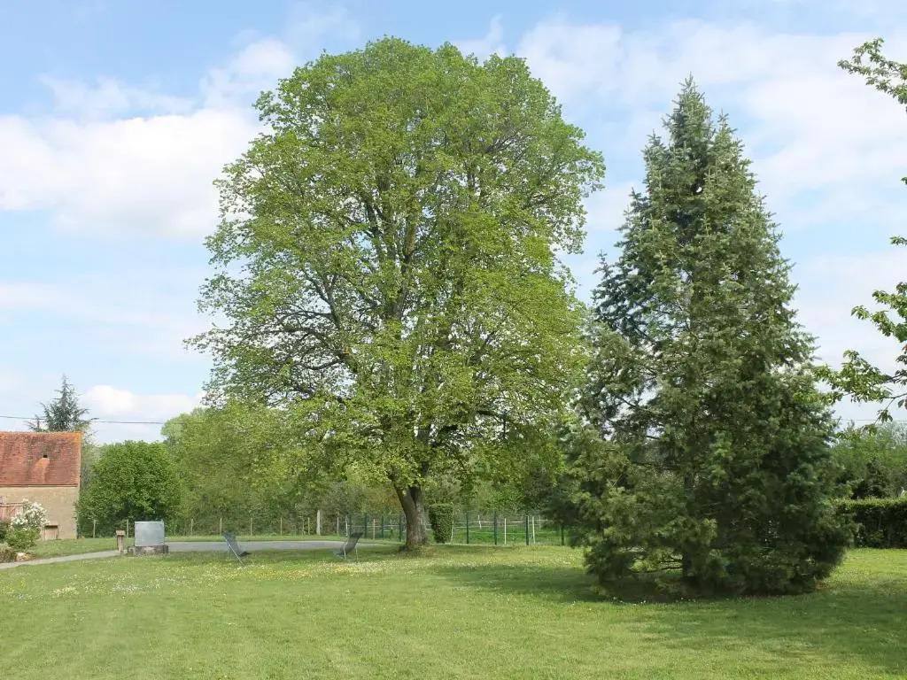 Gîte spacieux en pleine nature avec grand jardin, activités extérieures, proche sites historiques et commerces - FR-1-591-185