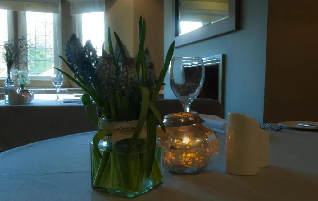 The Vines Hotel
