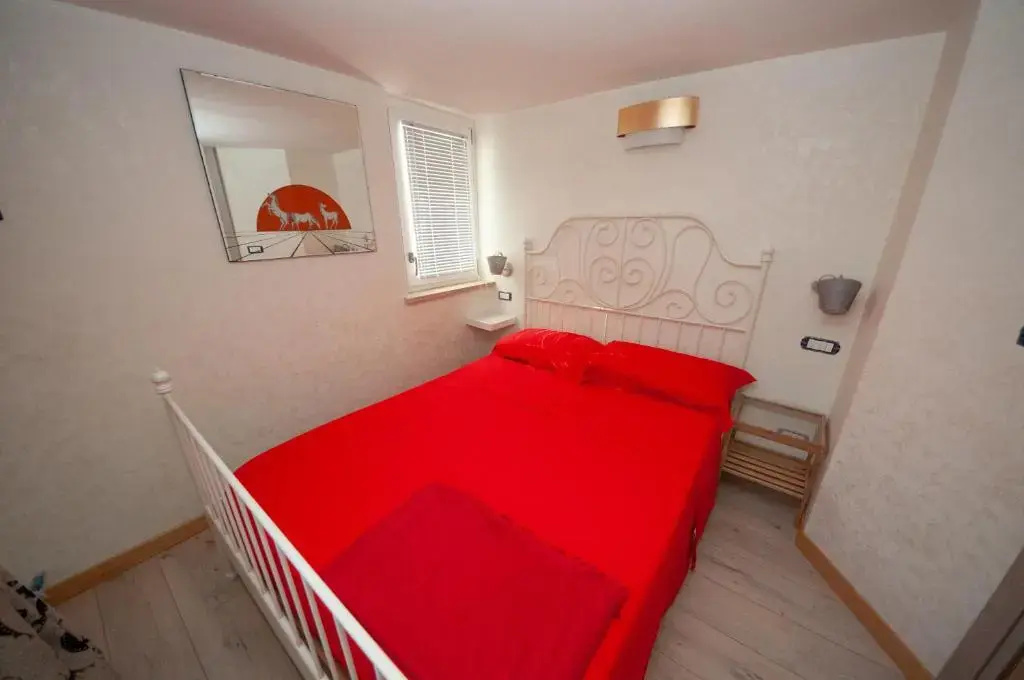 Daniela House 4