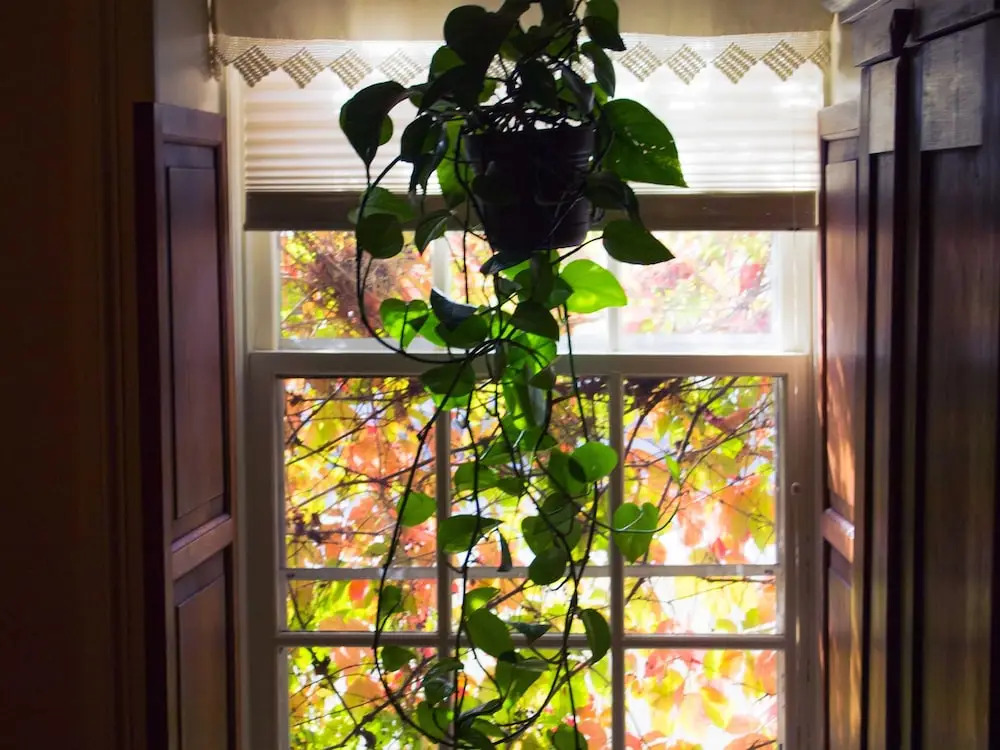 The Stagecoach Inn Bed & Breakfast and Five20 Social Stop