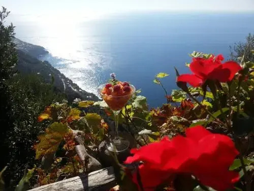Villa Antica Macina