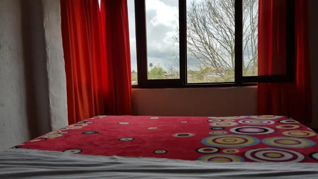 Coffee Tree Boutique Hostel