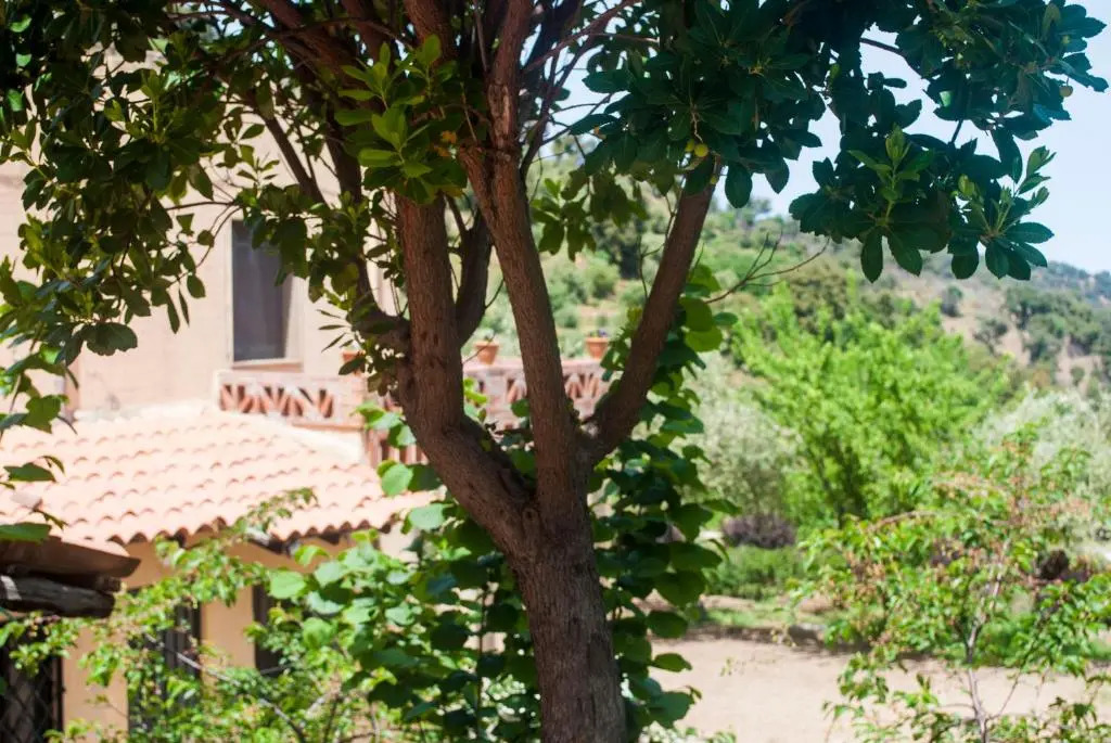 Agriturismo Fattoria di Grenne