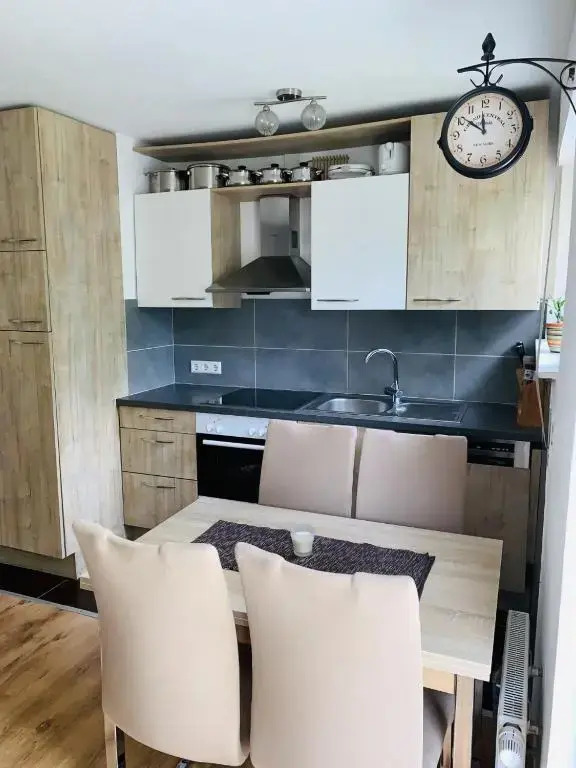 Drei Zimmer Apartment am Rhein