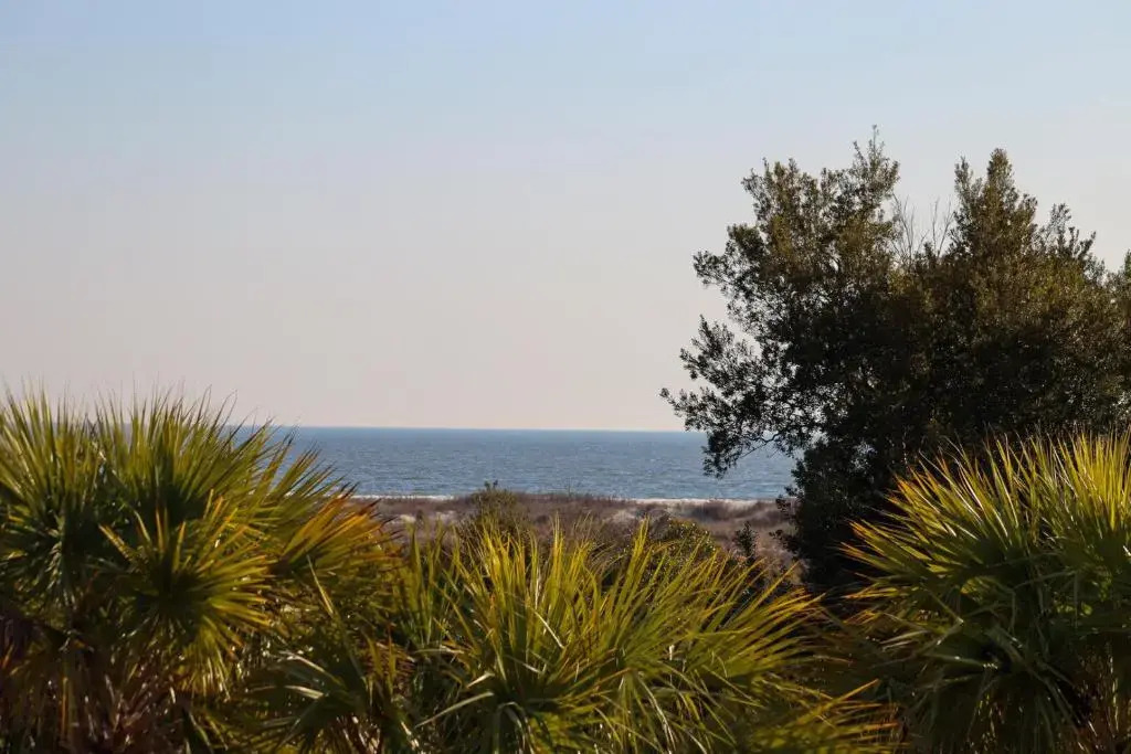 726 Seahorse Rd