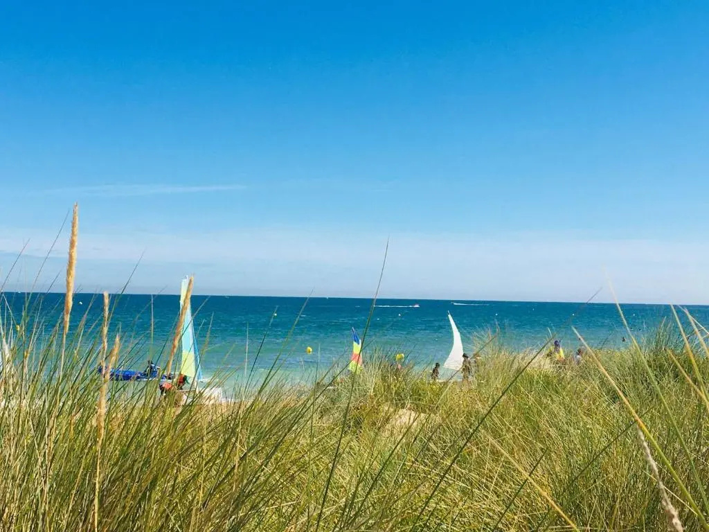 Bleu Sale - F2 Courseulles Avec Balcon