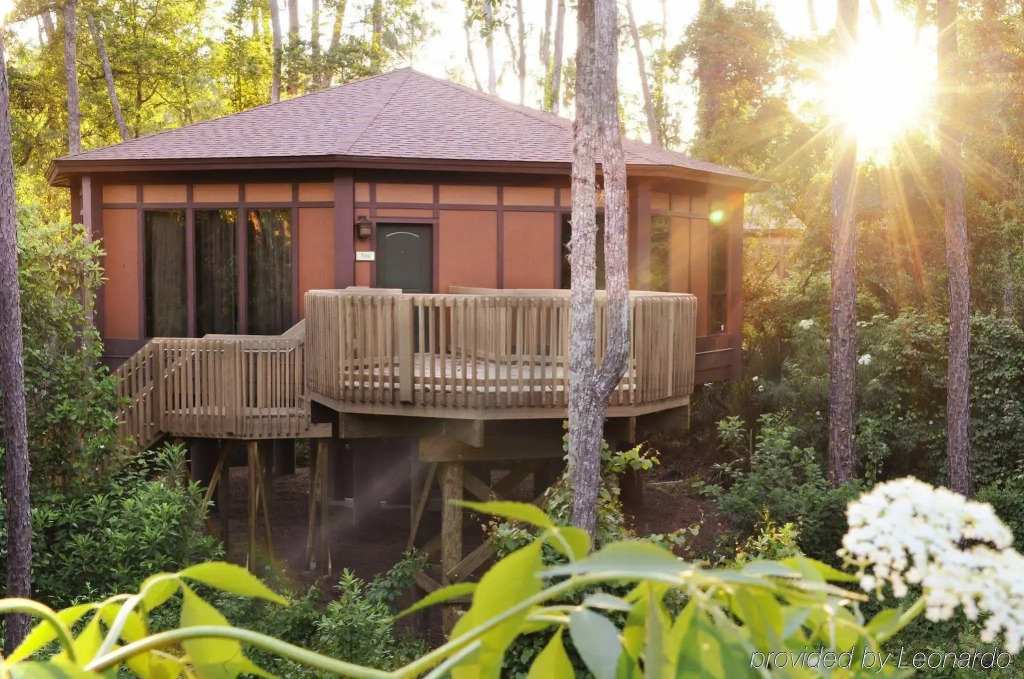 Disney's Saratoga Springs Resort & Spa 