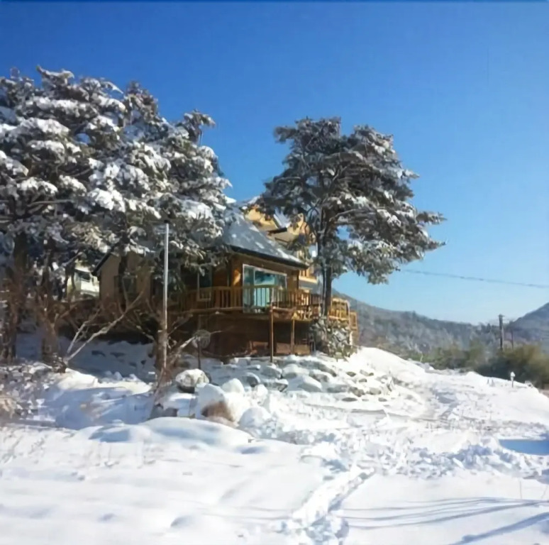Gangneung Pine & Cinnamon Tree Pension