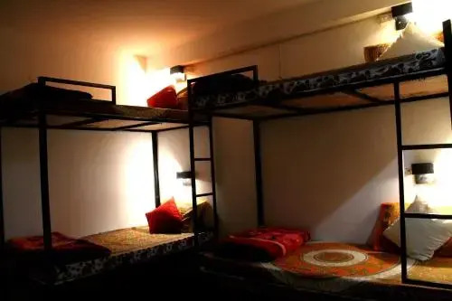 Bro's Backpacker's Fraternity House