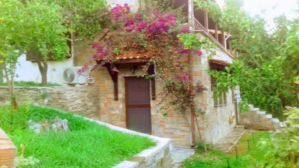 Margis studio