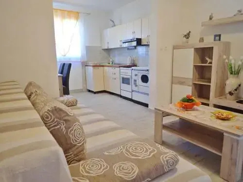 Apartment In Baric Draga