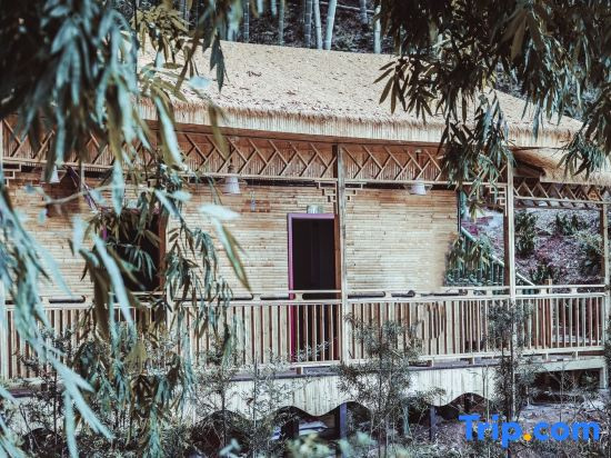 Bamboo Grove Courtyard Hainans Home Homestay