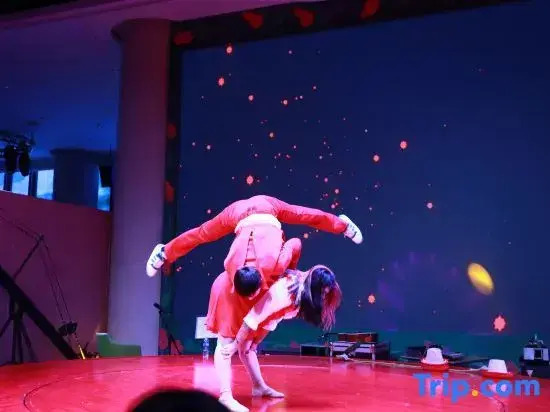 Tianjin Flamingo Le Pet Hotel