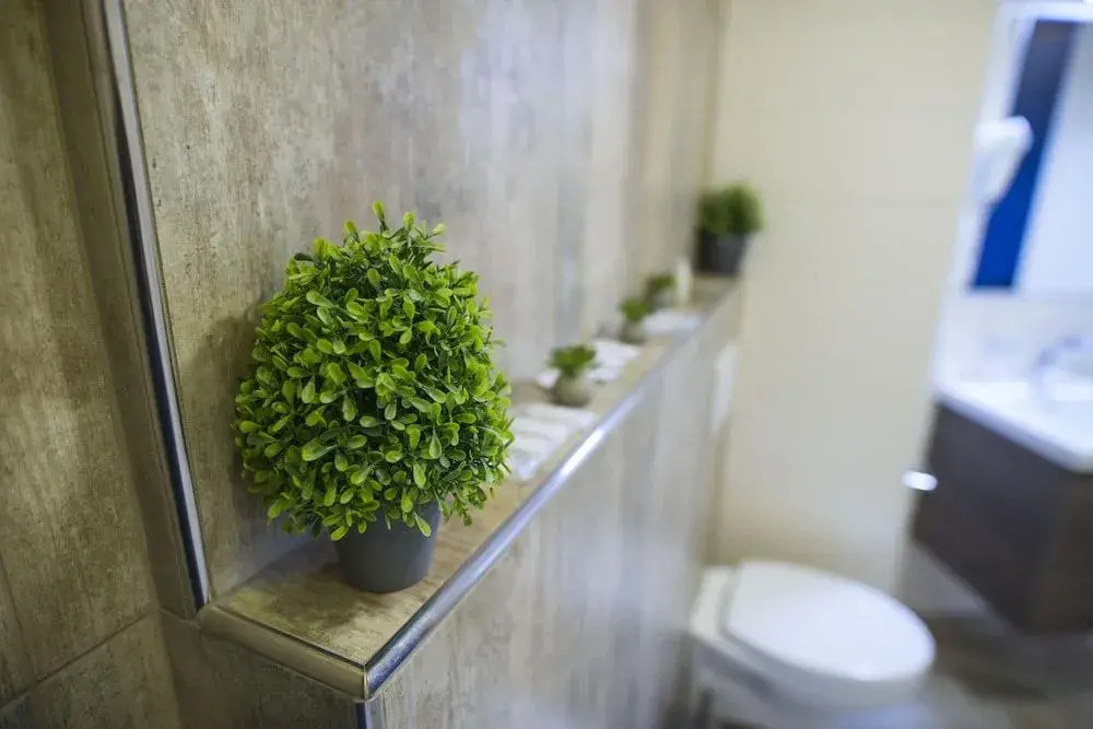 IL BACIO Guest House