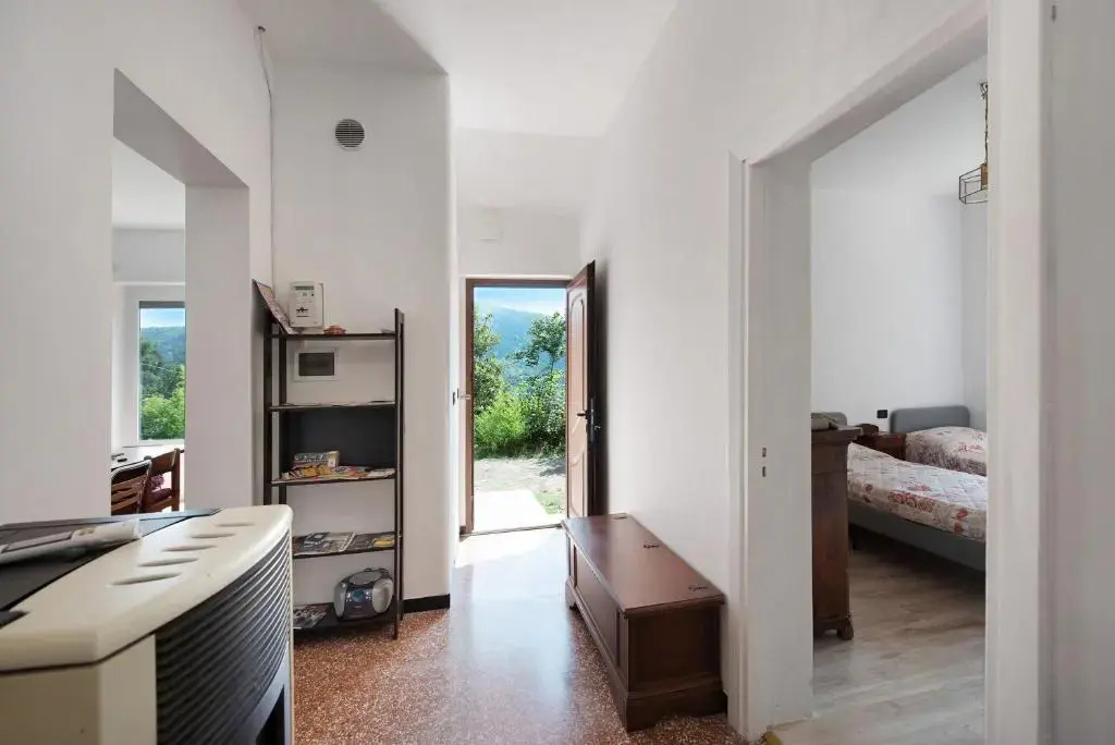 La liguria Tra Gli Ulivi 1